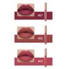 12 Farben Matte Velvet Lip Glaze Langanhaltender, wasserfester, nicht klebriger, wischfester flüssiger Lippenstift Valentinstagsgeschenke