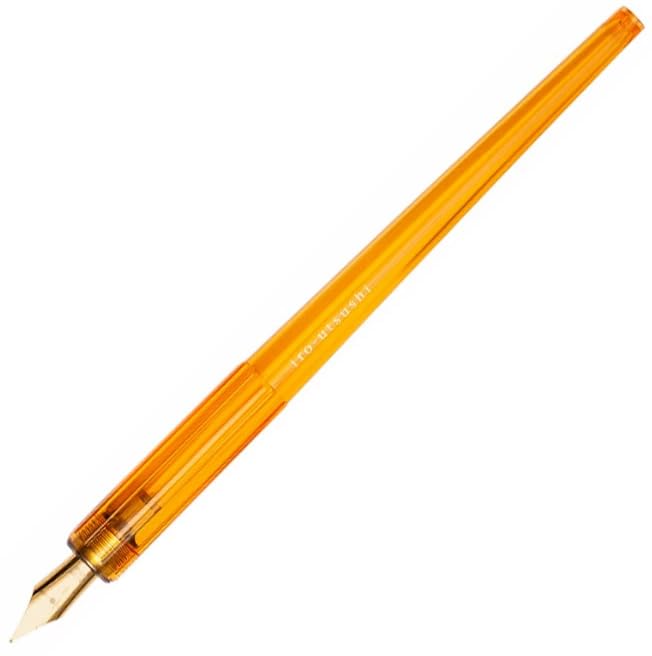 PILOT Fountain Pen Fine Nib Iro-utsusi (Toro, F)