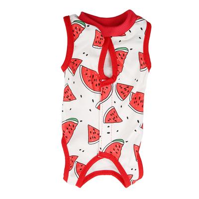 Cat Recovery Suit After Surgery Wear Breathable Prevent Lick Kitten Recovery Shirt Clothes for Cats