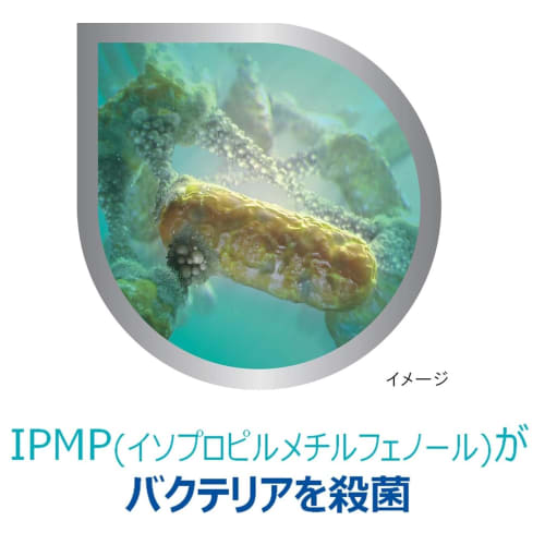 Earth Chemical Polident Dental Lab Medicated Toothpaste, 100g X 5 Packs