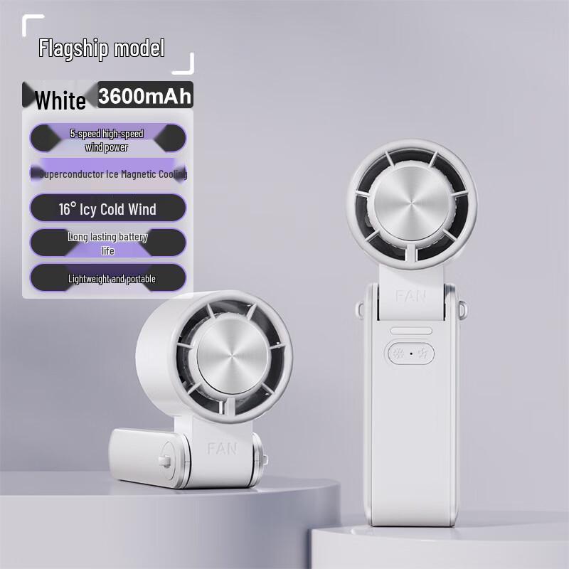 Portable Multi-functional Cooling Fan