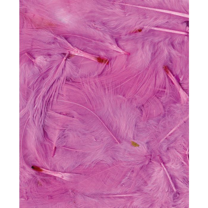 Plumes Ébouriffées Rose clair 3 g Lg 8 à 12 cm