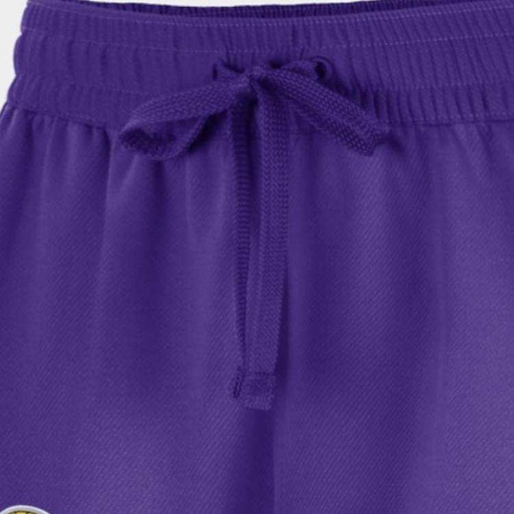 Nike Therma Flex NBA Los Angeles Lakers Basketbalové šortky Pánské šortky Fialové CQ7487-504