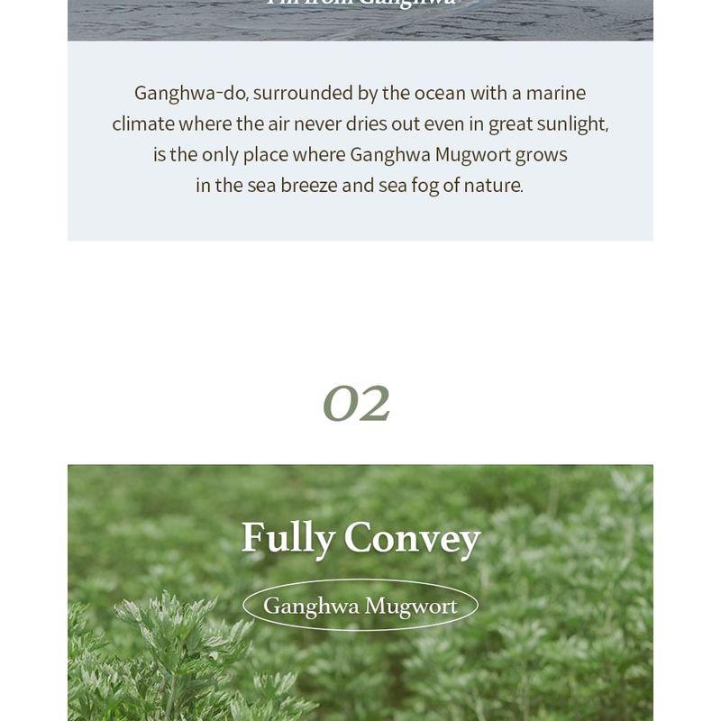 I'M FROM Mugwort Gel Cleanser