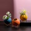 Nordic Style Small Flower Vase Iron Bracket Plant Pot Creative Round Ball Ceramic Vase  Office