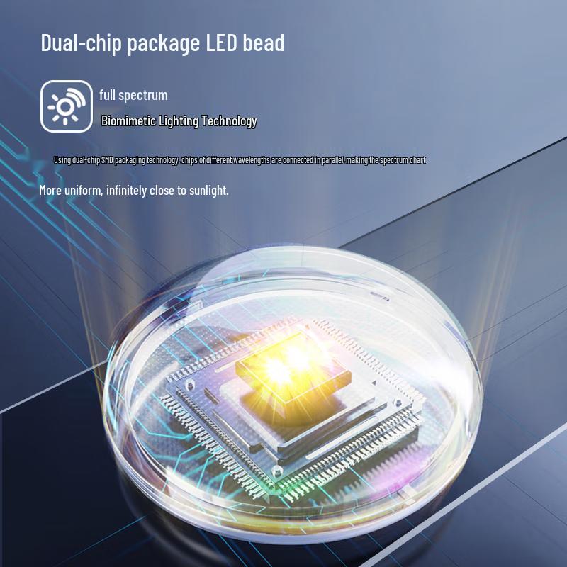 Modern LED Ceiling Lamp