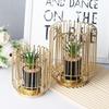 Iron Handicrafts Nordic Creative Luxury Simulation Plant Ornaments Flower Pots Desktop Potted Plants Home Decoration Ornaments