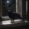 Creepy Bird Prop for Parties Realistic Crows Figurine, Lifelike Feathered Raven Statue Haunted House, Scary Mystery Atmosphere Halloween Party Props,