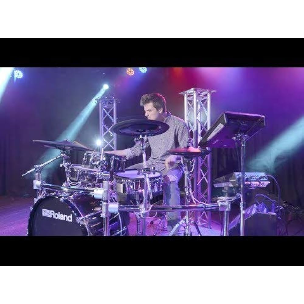 Roland Roland Personal Monitor PM-100 Monitor Speaker Maximum Output 80W Compact V-Drums