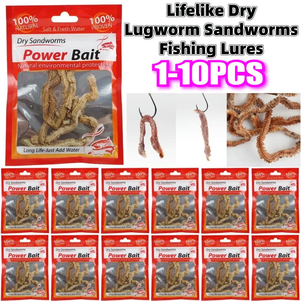 1-10pcs Dry Sandworms Fishing Lures Lifelike Dry Lugworm Sandworms Artificial Sea Worms for Saltwater and Freshwater Fishing