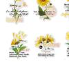 10 Sheets Transparent Flower Sticker PET Vintage Craft Sticker for Notebook Handbook Decoration
