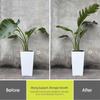 32.6cm 6 Set Plant Supports for Indoor Plants, Orchid, Rose Flower(Green)