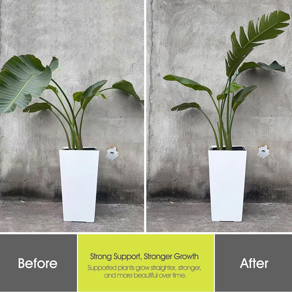 32.6cm 6 Set Plant Supports for Indoor Plants, Orchid, Rose Flower(Green)