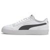 Ralph Sampson Vulc 'White Black' Men's 371907-05