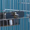 Bird Feeding Bowl Stainless Steel Cup with Clamp Parrot Feeder Birdcage Feeder Food Water Dish Pet