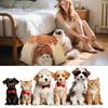 Indoor Tent, Indoor Dog House, Tent For Small Dogs, Cute Cave Dog House For