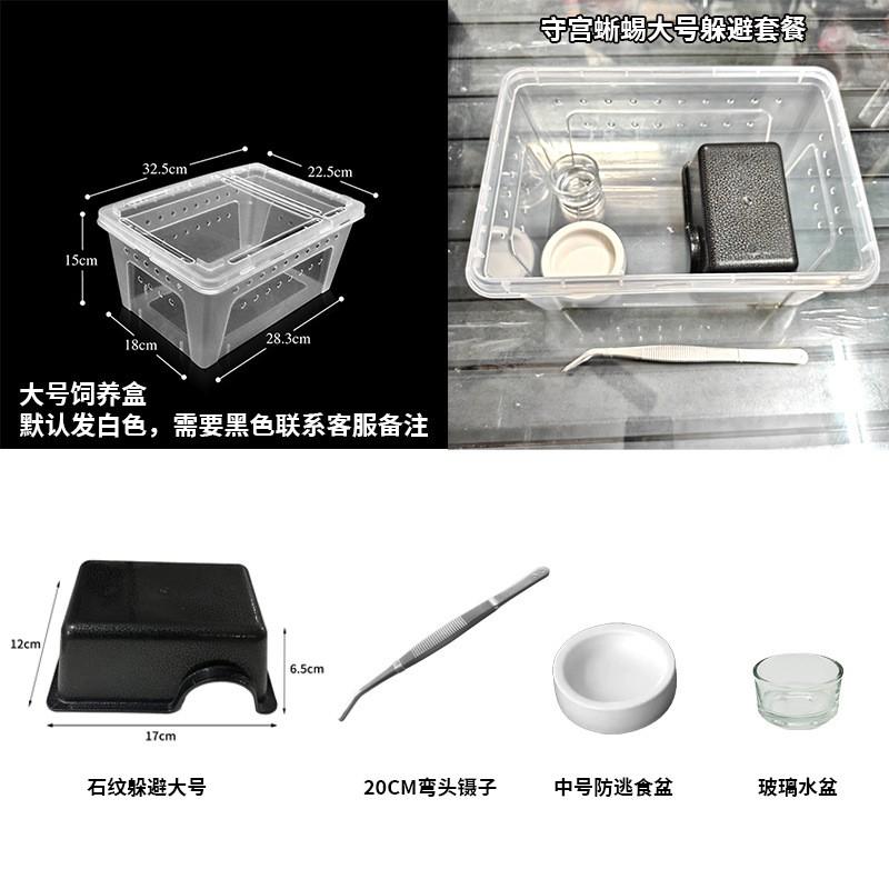 Reptile Habitat Setup Kit Geckos Lizards Frogs Spiders With Hide Shelter Heat Lamp Base ABS Material