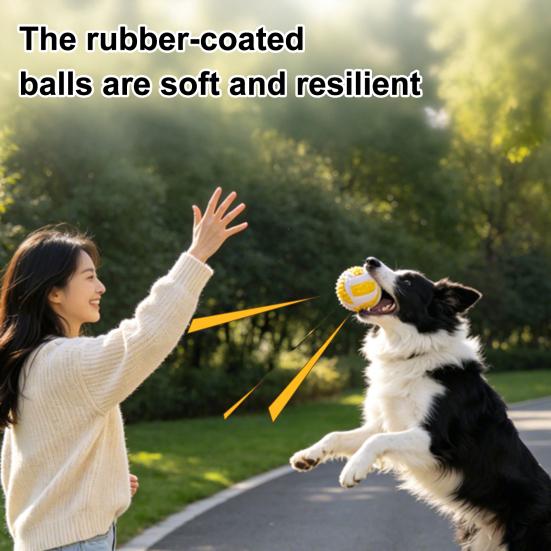 Dog Toy with Sound Ring Made From Flexible Blue 1 Pc