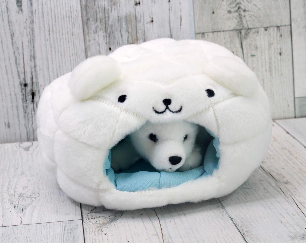 Takeoff Snow Bear Polar Bear