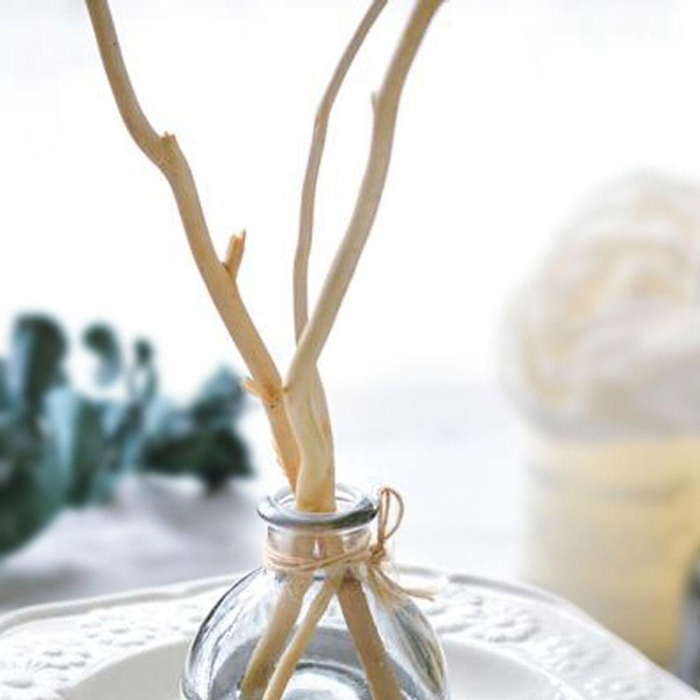 Home Decor Purifying Air Fragrance Willow Branch Aroma Diffuser Dry Branches Aromatherapy Sticks