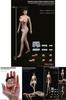 1/12 Scale Female Seamless Body With Super Flexible Articulation For Creative Play