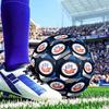Fc Hansa Rostock Crest Design Size 5 Soccer Ball, Suitable for Training and Matches, High-Elasticity, Wear-Resistant Material Gift for Fan