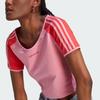 Adidas Originals Trefoil Logo Print Color Block Short Tee Women Tops Pink IT8153