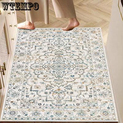 Living Room Carpet Entrance Mat Dirt Resistant and Easy To Maintain Door Mat Anti Slip Foot Mat