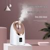 MKS Cold & Hot Nano Facial Steamer NV8385