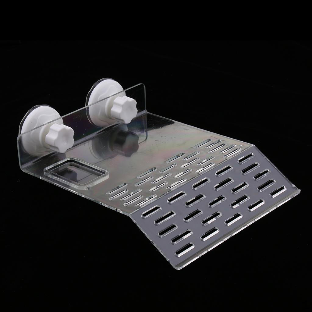for Climbing Floating Reptile Tortoise Drying Platform With Food Bowl Cup L