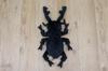Takeoff Plush Toy Cotton Cloudy S Giraffe Stag Beetle