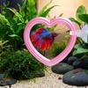1Pcs Betta Exercise Rings Fish Tank Aquarium Training Ring Hoop Set With Suction Cups Betta Fish Interactive Play Relax Hide Toy