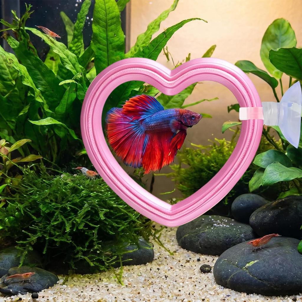 1Pcs Betta Exercise Rings Fish Tank Aquarium Training Ring Hoop Set With Suction Cups Betta Fish Interactive Play Relax Hide Toy