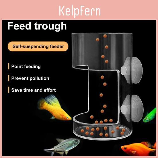 Salzwasserfisch Garnelen Futterautomat Automatischer Futterspender Rote Mückenlarven Futterspender Mit Saugnapf Wurmtrichtertasse Fischfutter Fütterungswerkzeug Aquarium Zubehör
