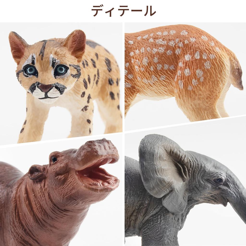 TOYMANY 12-Piece Wildlife Figure Set, Realistic Forest Animal Models, Popular Animal Toys, Birthday Gifts, Decorations, Christmas, New Year's