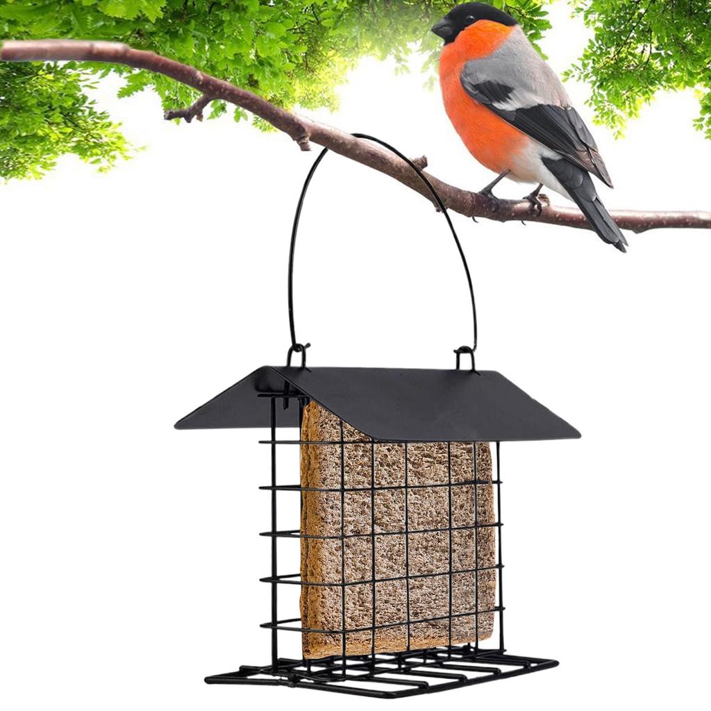 Suet Feeders for Outside Weather Guard Feeding Station Wild Bird Feeder for Wild Hummingbirds Woodpeckers Parrot All Breeds
