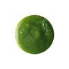 Lush Wasabi Shan Kui Shampoo 300g