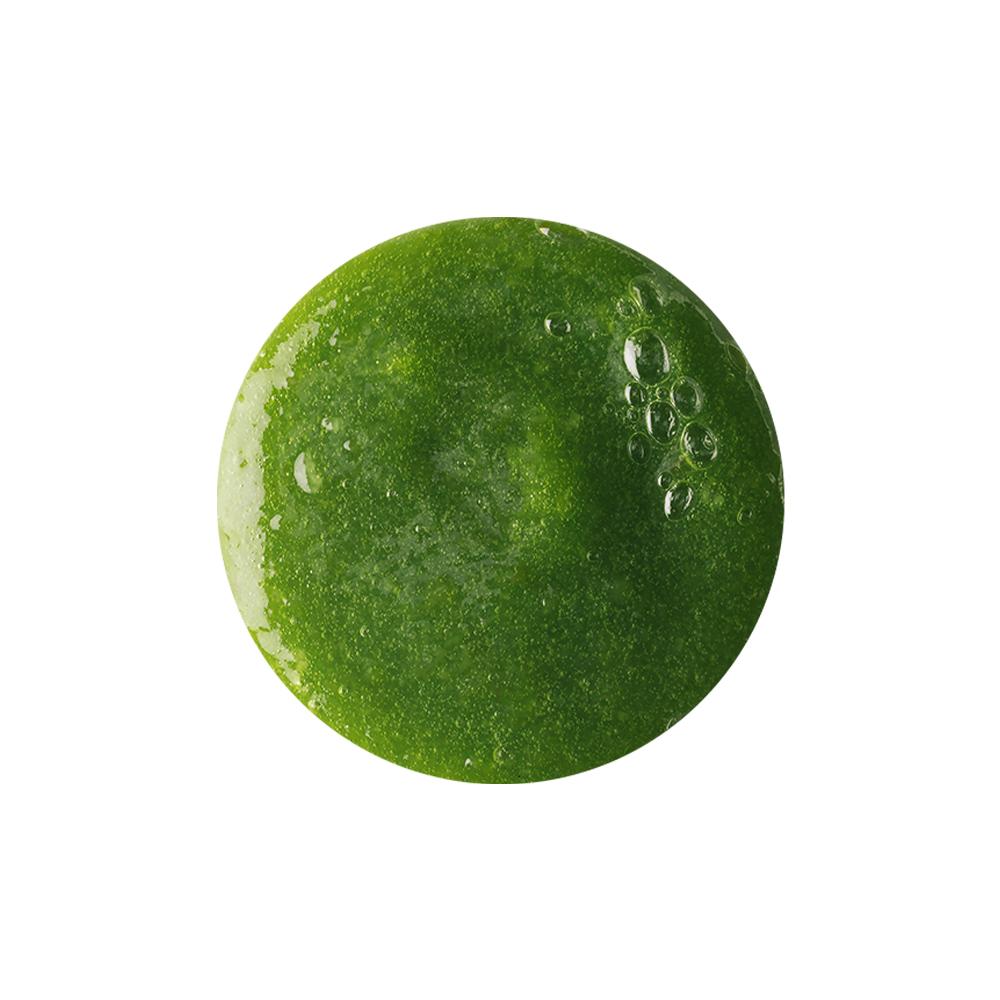 Lush Wasabi Shan Kui Shampoo 300g