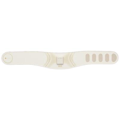 G3 Series 1st Gen Waist & Abdomen Massager CN Plug (adapter Included)