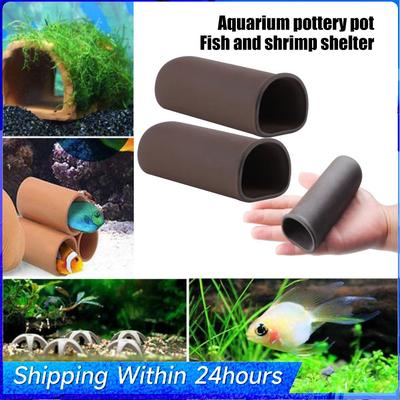 Fische & Meerestiere – Aquarien-Einrichtung