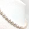 Isowa Pearl (Ise-Shima pearl specialty store) Freshwater pearl necklace 5.5-6.0mm White Magnetic clasp 65715