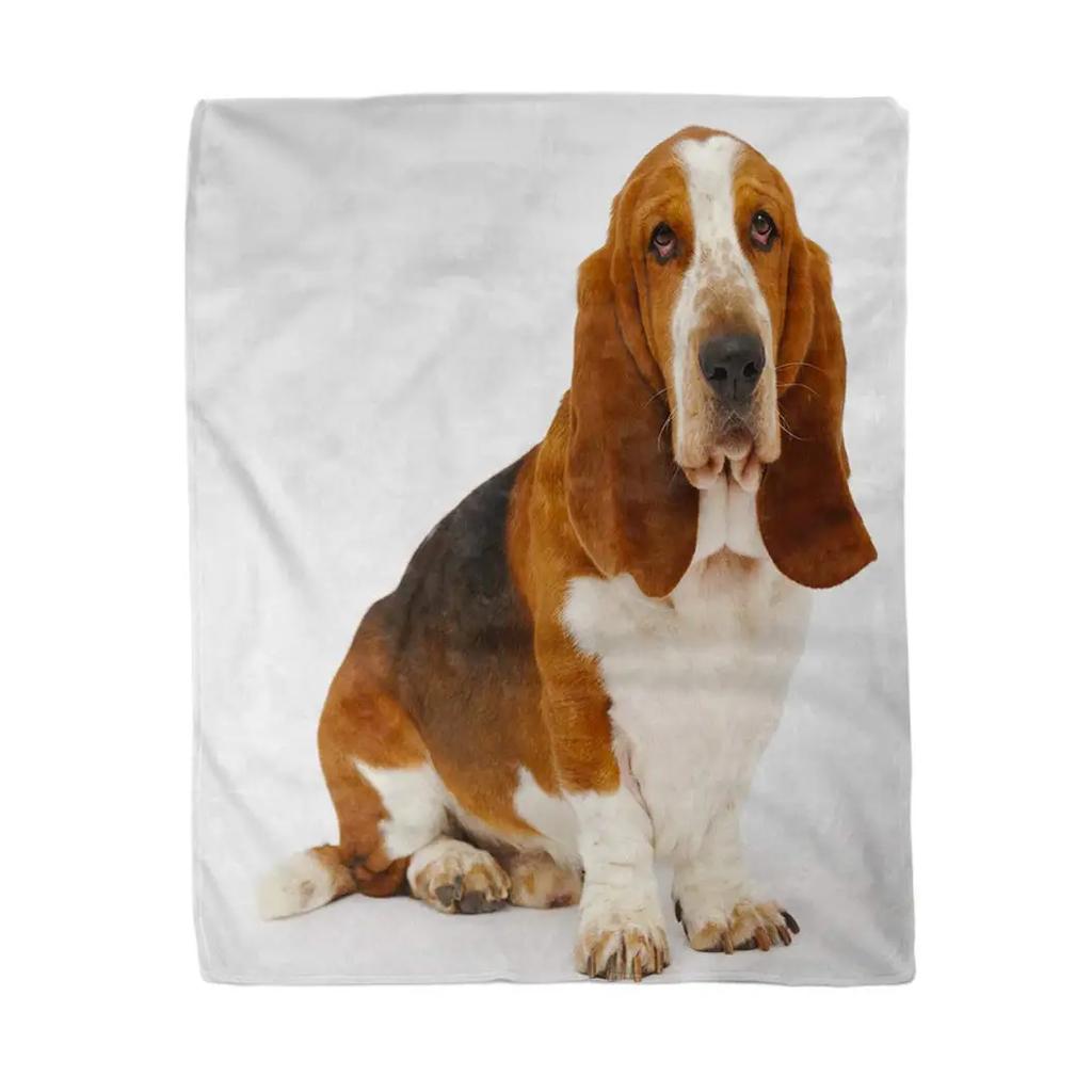 Coperta Cane Basset Hound Coperta Plaid in Flanella per Divano Letto Coperta Morbida Leggera da Ginocchio, Migliori Regali per Amanti degli Animali