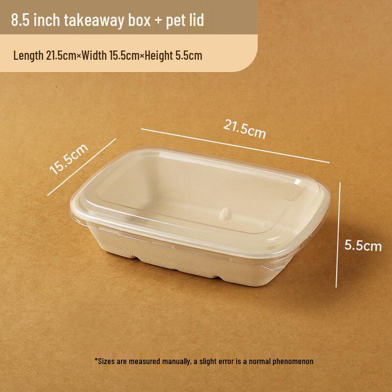 Eco-Friendly Disposable Pulp Food Container with PET Lid