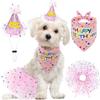 Haustier-Geburtstagsparty-Zubehör-Set Rock Hut Fliege für Hunde und Katzen Welpenparty-Geschenk Alles für Haustiere Großhandel