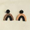 Jewelry personality temperament ladies earrings