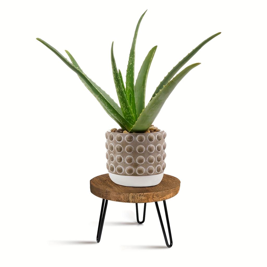 Wooden Plant Stool for Both Indoor,Outdoor Use,Featuring a Mid Century Design Suitable for Modern Plants.This Low,Short Planter Stand Combines Boho