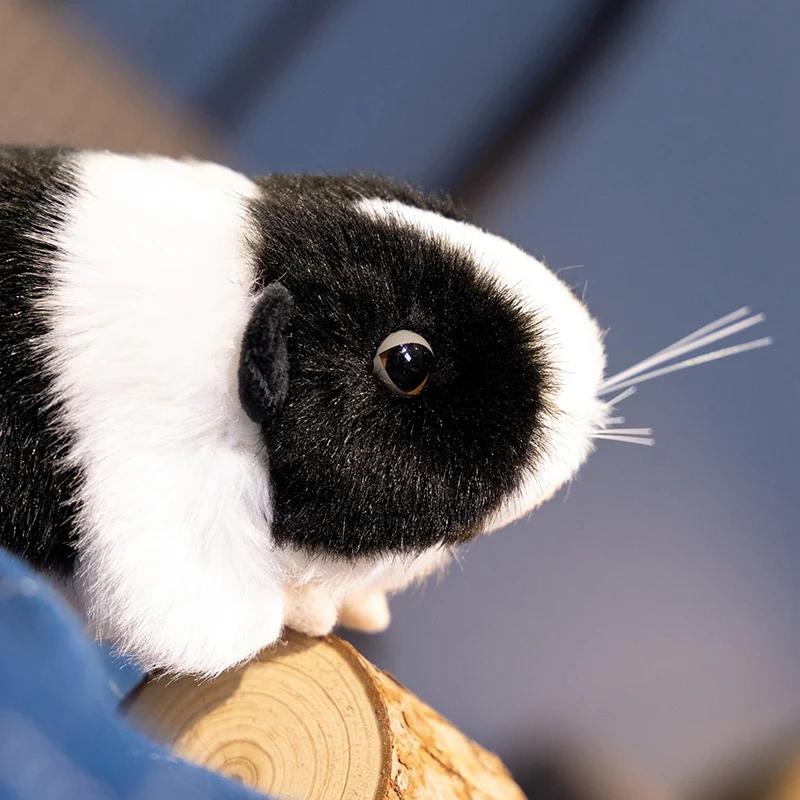 Lifelike Guinea Pig Plush Doll Pillow Creative Capybara Hamster Stuffed Toy Simulation Animal Figurine Home Decor Birthday Gift