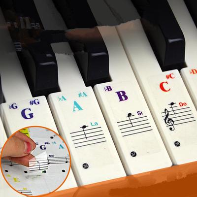 1/2 Pezzi Tastiera Elettronica Trasparente Professionale 49 61 Tasti Adesivo Musicale per Spartito Piano 88/41/69 Tasti per Tasti Bianchi