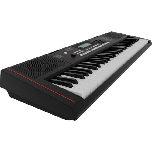 Roland E-X10 Electronic Arranger Keyboard, Easy Operation, 61 Keys, Auto Accompaniment, Microphone Input, Recording Function, Battery Operation, Perfe