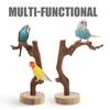 Parrot Perch Stand Wooden Strong Stable Base Bird Training Perch Indoor Desktop Parrot Standing Rack Bird Training Stand